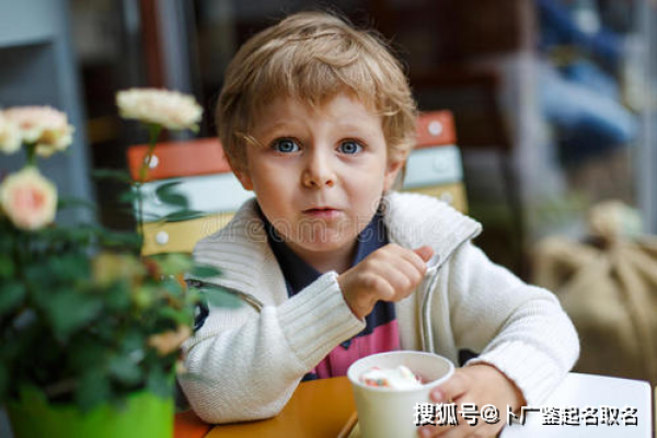 2019年3月26号辛时出生的男孩要怎么起名字姓名