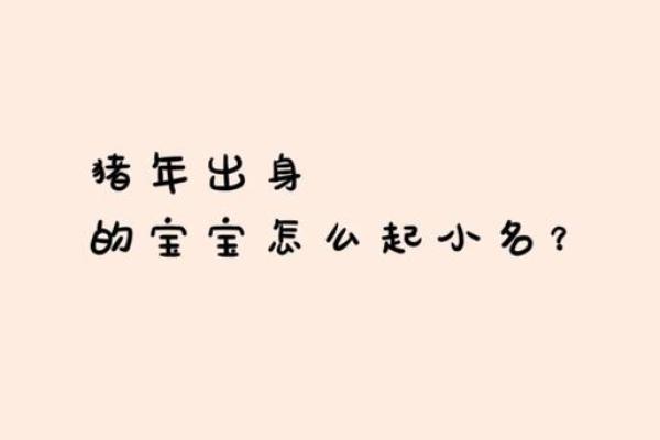 2019年5月份出生猪宝宝五行属什么,起什么名字好？姓名