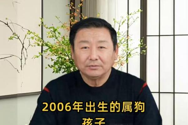 六月份出生的属狗男孩取什么名字好？姓名