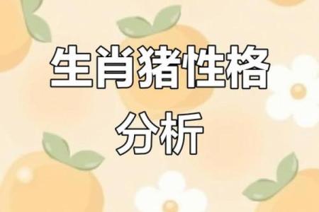 2019年5月份出生猪宝宝五行属什么,起什么名字好？姓名