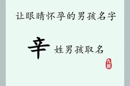 2019年3月30号辰时出生的男孩起名方法姓名
