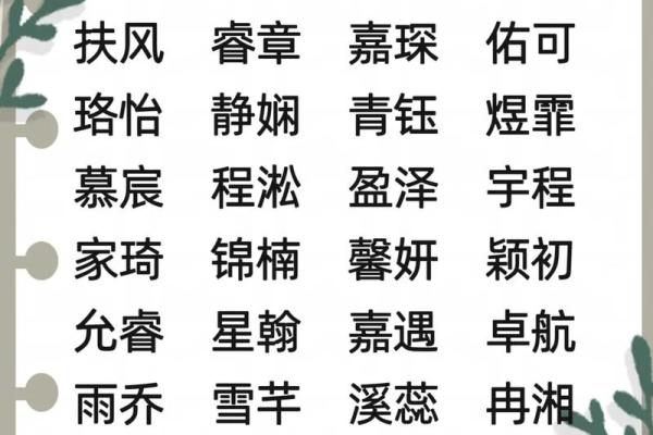 属龙辛时出生的男孩怎样起名，宜用什么字姓名