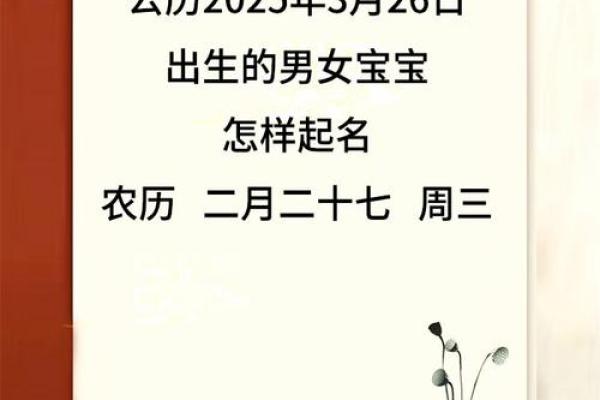2019年3月26号申时出生的男孩要怎么起名字姓名