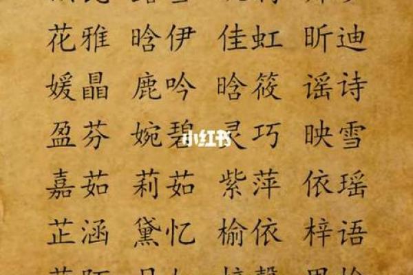 凌晨3点出生的属鼠男孩起什么名字合适姓名