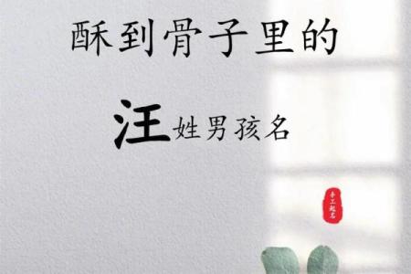 汪姓男孩名字大全-汪姓男孩起名字大全-汪姓名字大全姓名