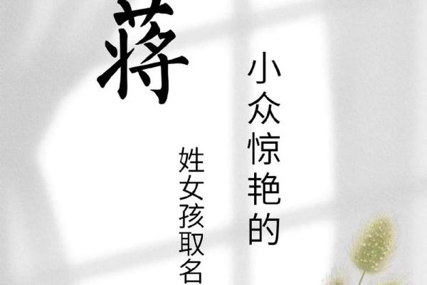 蒋姓女孩名字大全-蒋姓女孩起名字大全-蒋姓名字大全姓名