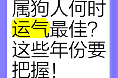 早上六点出生的属狗男孩如何取名，用什么字好姓名