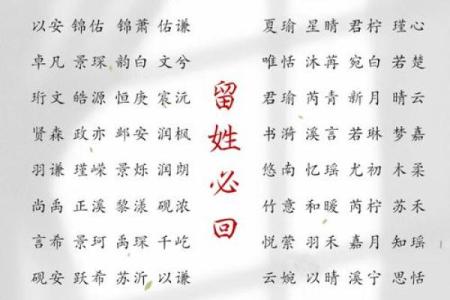 2019年3月27号申时出生的男孩应该起什么样的名字姓名