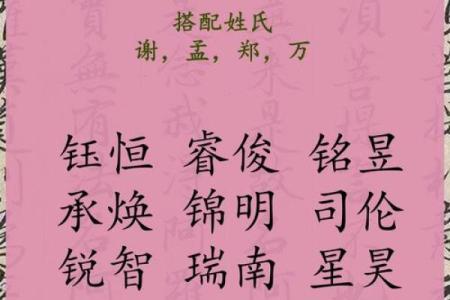 2019年4月11号辰时出生的男孩应该起什么样的名字姓名