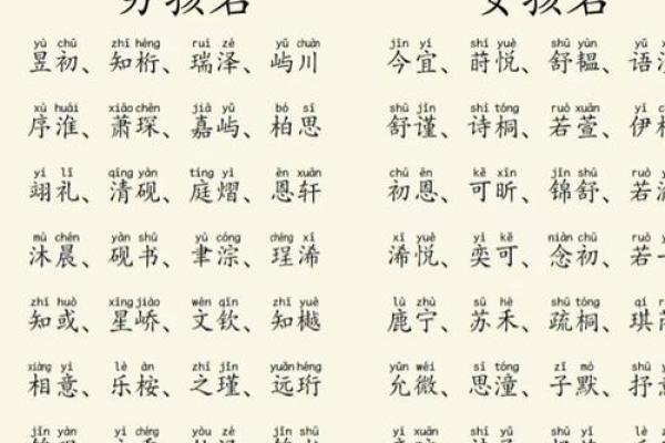 2019年5月19号子时出生的男孩起名方法姓名