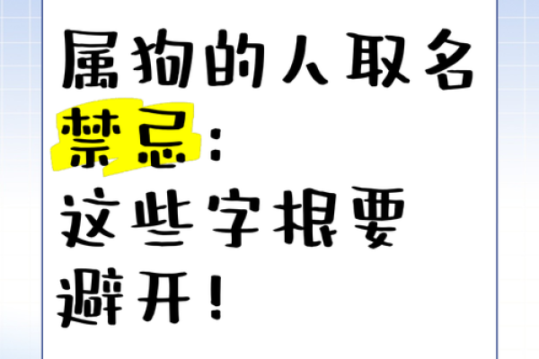 上午11点出生的属狗男孩怎么取名，用什么字好姓名