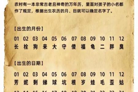 夏至时节出生的女孩小名怎么取,好听诗意的女孩乳名姓名