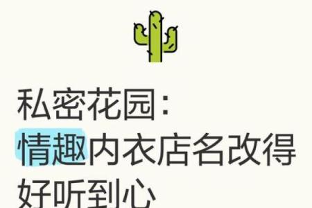 内衣店名大全-好听的内衣店名-名字大全-姓名学-华易算命网姓名
