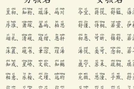 2019年5月19号子时出生的男孩起名方法姓名
