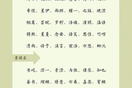 2019年3月16号未时出生的男孩要怎么起名字姓名