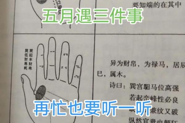 如何给属猴卯时出生的男孩起名字姓名