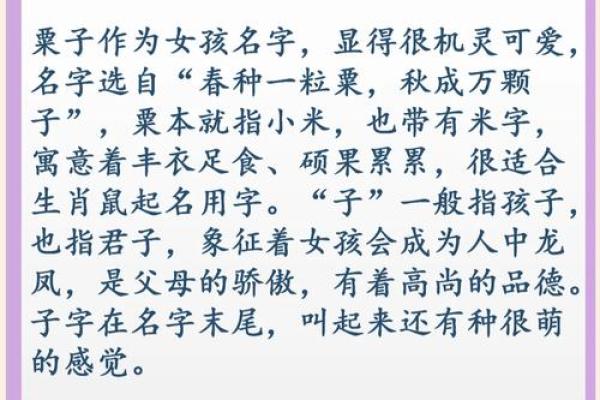 半夜出生的属鼠男孩起名用什么字最好姓名