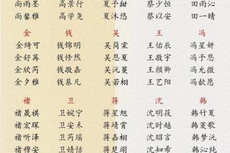 属龙巳时出生的男孩怎么取名，适合用什么字姓名