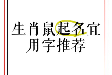 半夜出生的属鼠男孩起名用什么字最好姓名