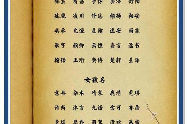 下午出生属兔的男孩应该怎么样取名字呢？姓名