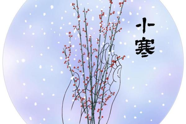2020年小寒出生带“寒”字的男宝宝100分名字姓名