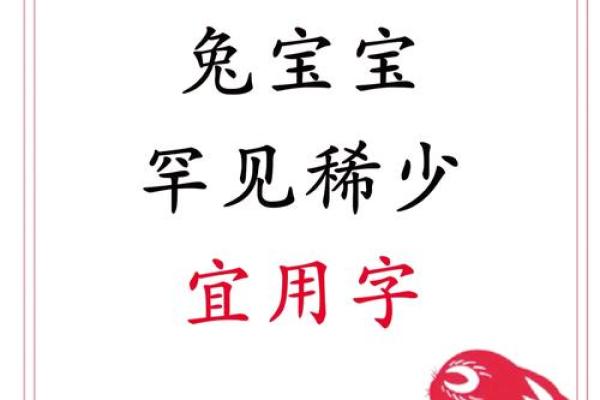 给属兔巳时出生的男孩起名宜用什么字姓名