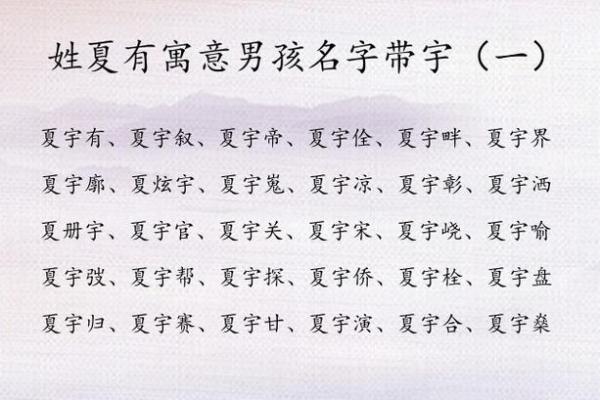 给属兔巳时出生的男孩起名宜用什么字姓名