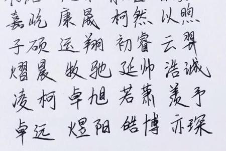 2019年3月26号亥时出生的男孩要怎么起名字姓名