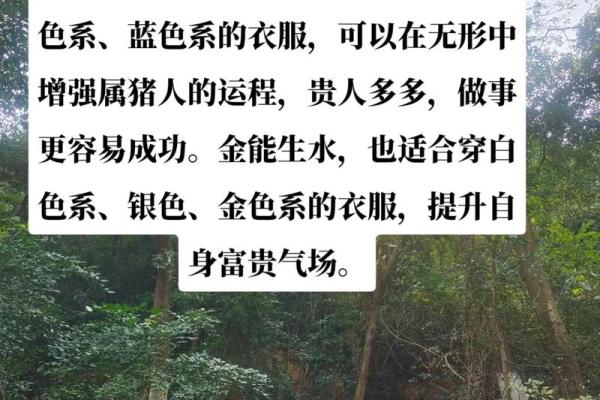 怎样来给属猪亥时出生的男孩起名姓名