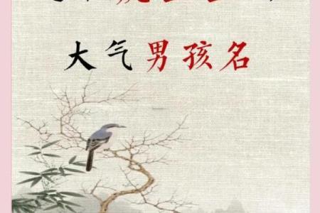 下午4点出生的属虎男孩起什么名，适合什么字姓名