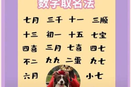 早上八点出生的属狗男孩怎么取名，用什么字好姓名