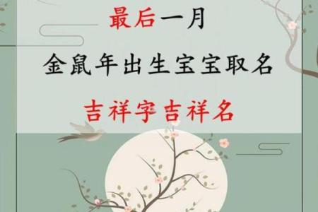 凌晨4点出生的属鼠男孩怎么样取名字姓名