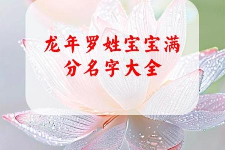 罗姓男孩名字大全-罗姓男孩起名字大全-罗姓名字大全姓名