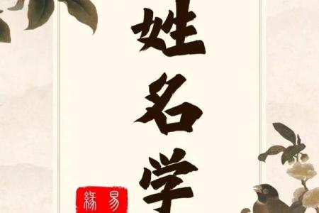 姓名看什么人的样会闪婚-姓名学-姓名分析姓名