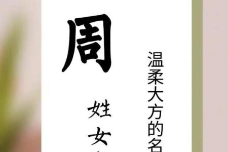 2019年出生的姓周女孩如何起名，宜用什么字姓名_1
