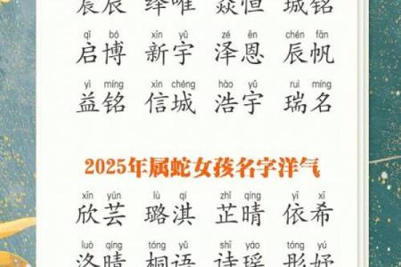 属蛇巳时出生的男孩应该如何起名，宜用什么字姓名