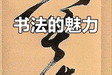 窦姓男孩名字大全-窦姓男孩起名字大全-窦姓名字大全姓名