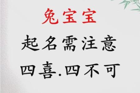 4月份出生的属兔男孩怎样取名字好姓名