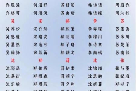 2019年6月13号子时出生的男孩起名方法姓名