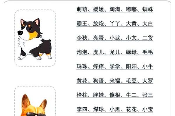 适合给属狗丑时出生的男孩取的起名，宜用字姓名