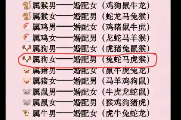 属猪丑时出生的男孩如何起名，适合什么字姓名