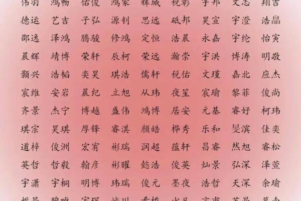 2019年3月17号巳时出生的男孩应该起什么样的名字姓名