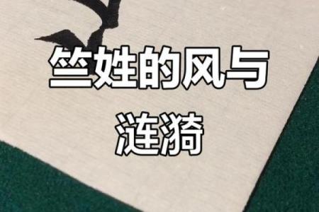 姓竺的名人-姓名学-华易算命网姓名