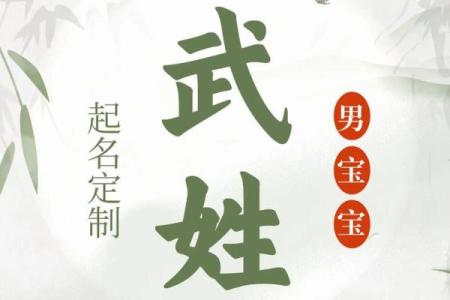 2019年3月25号亥时出生的男孩起名方法姓名
