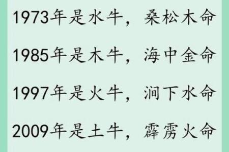 晚上出生的属牛男孩取名技巧大全姓名