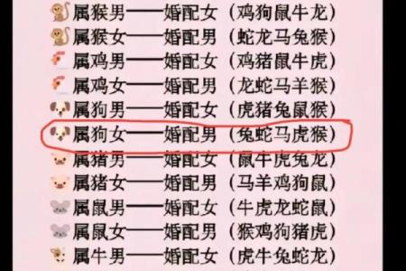 属猪丑时出生的男孩如何起名，适合什么字姓名