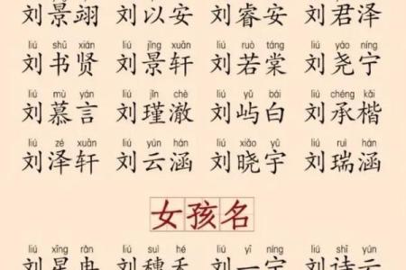2019年6月12号子时出生的男孩起名时要注意什么姓名