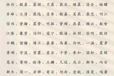 2019年3月17号巳时出生的男孩应该起什么样的名字姓名