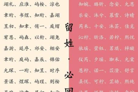 2019年3月20号酉时出生的男孩起名方法姓名