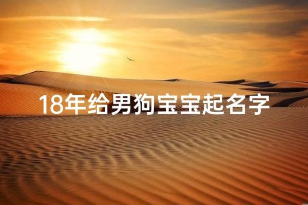 十一月份出生的属狗男孩应该名字该怎么取姓名